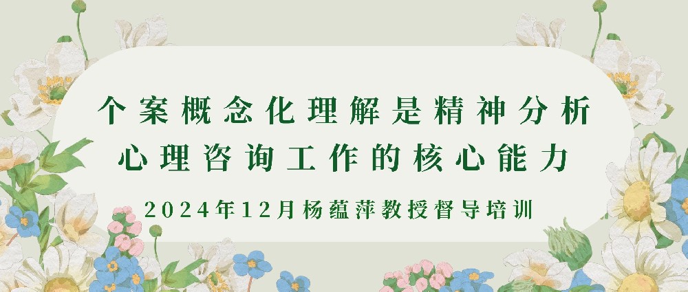 个案概念化理解是精神分析  心理咨询工作的核心能力  2024年12月杨蕴萍教授督导培训