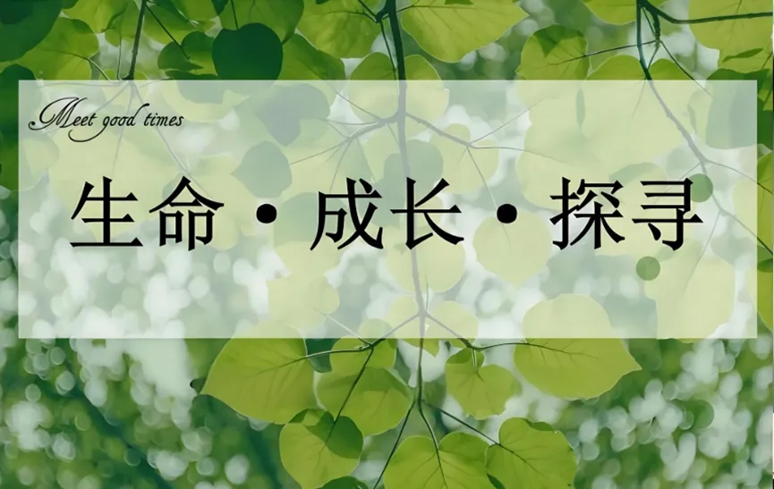 『沙龙回顾』“心智决定孩子一生”——如何平衡孩子学业压力与心理健康发展?